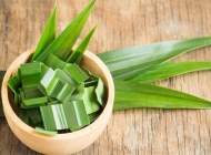 Lá dứa để trong nhà vệ sinh giúp khử mùi hiệu quả