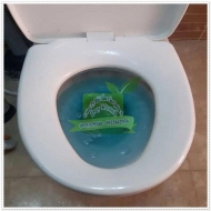 Đổ nước xà phòng vào bồn cầu có tác hại gì không?