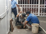 Thông tắc cống quận 5 giá rẻ liên hệ 0931329340