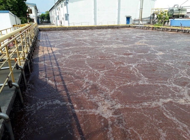 Cho thuê xe bồn vận chuyển bùn vi sinh và lợi ích của bùn vi sinh trong việc xử lý nước thải