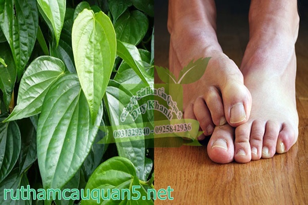 Khử m&ugrave;i h&ocirc;i ch&acirc;n bằng l&aacute; trầu