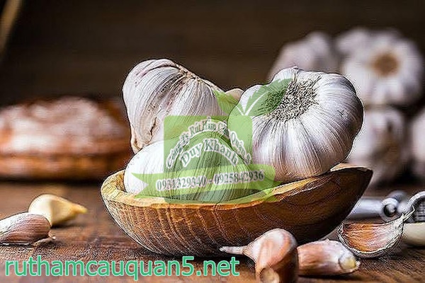 Khử m&ugrave;i h&ocirc;i ch&acirc;n bằng tỏi
