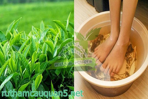 Khử m&ugrave;i h&ocirc;i ch&acirc;n bằng l&aacute; tr&agrave; xanh