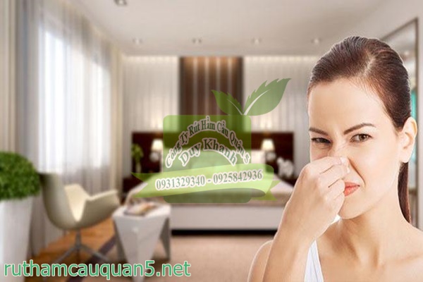 Ảnh hưởng của mùi hôi nhà cửa
