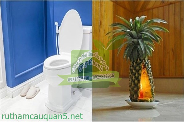 Khử mùi hôi nhà cửa bằng cách khác