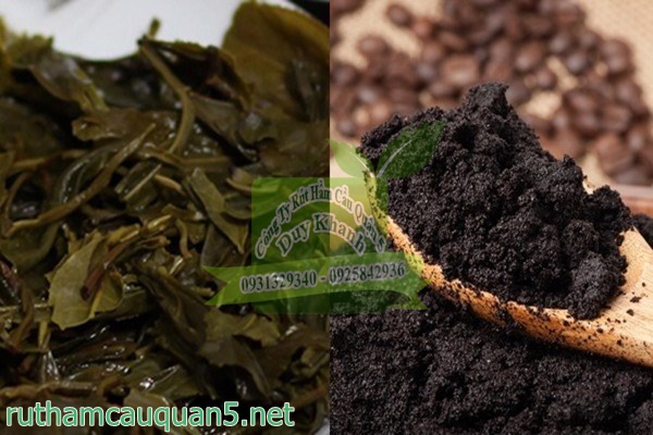 Khử mùi nhà cửa bằng bã trà, cà phê