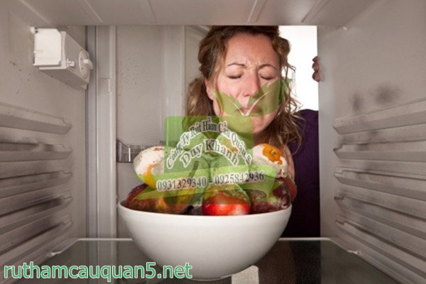 Nguyên nhân gây ra mùi hôi nhà cửa