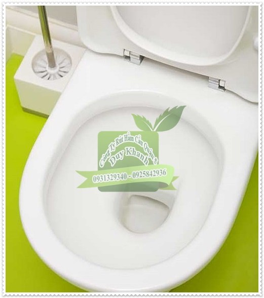 Khắc phục t&igrave;nh trạng bồn cầu bị h&ocirc;i